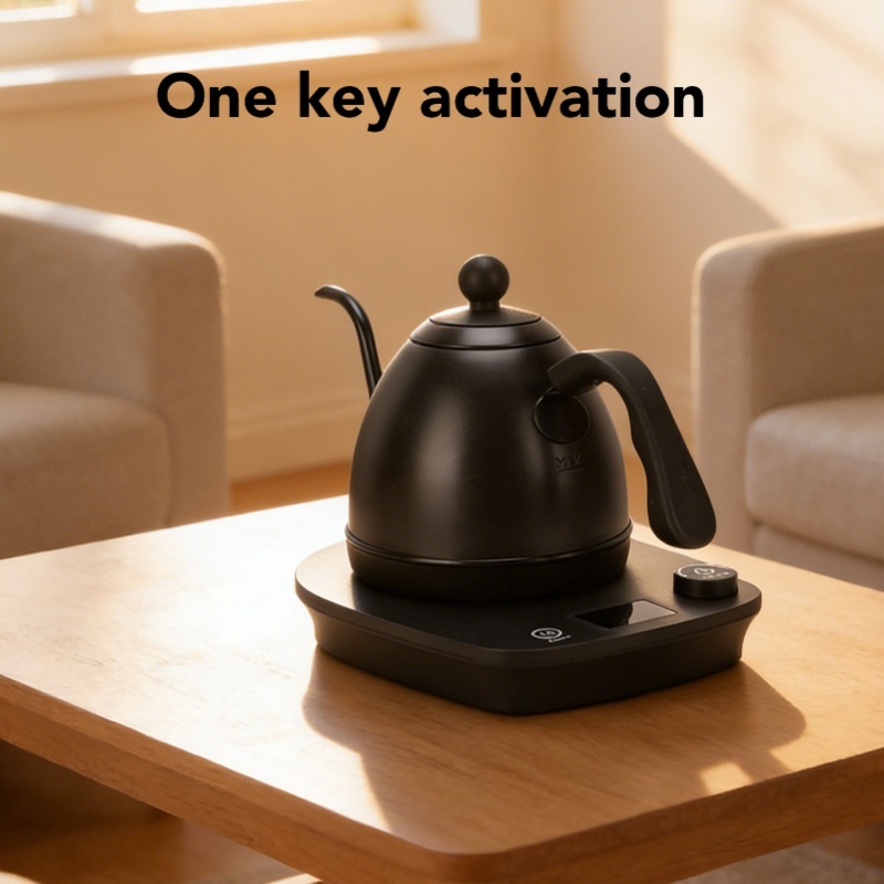 1000W Elektrischer Schwanenhal – Pour Over Kettle Bewertung und Preis