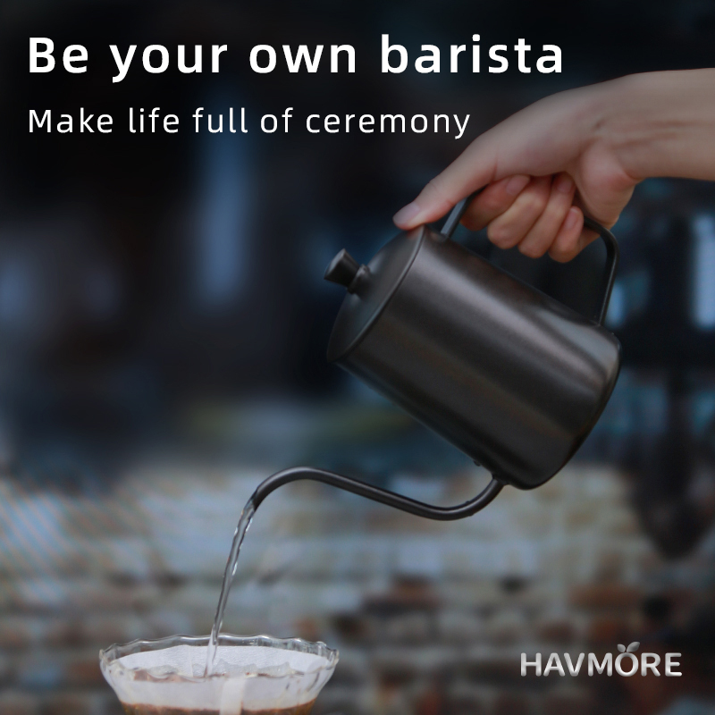HAVMORE Teekessel aus Edelstah – Tea Coffee Utensils Bewertung und Preis