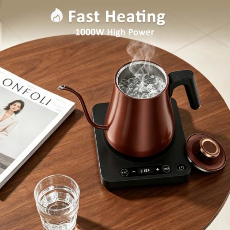 Elektrischer Schwanenhals-Wass – Pour Over Kettle Bewertung und Preis